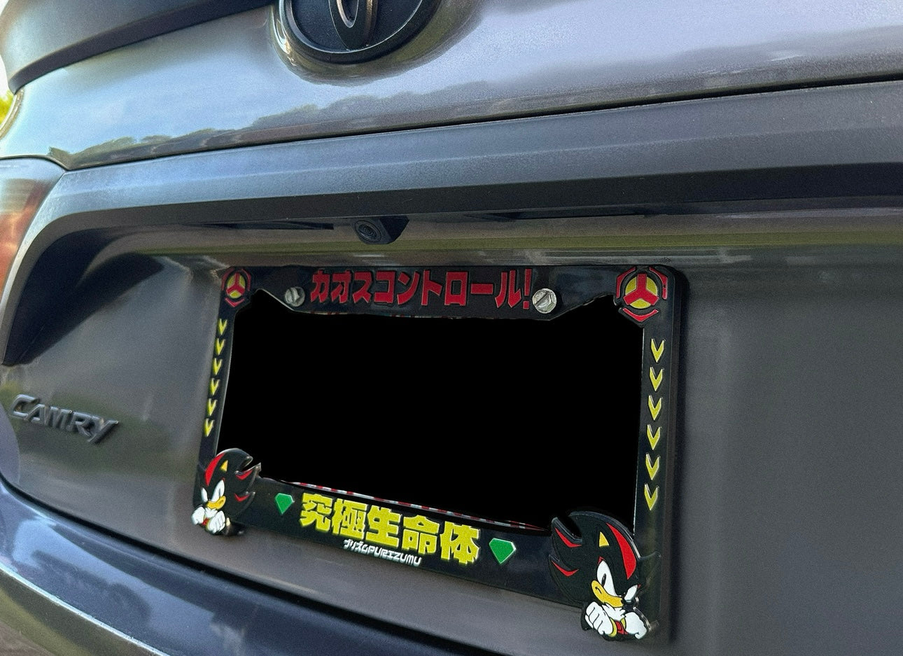 PZLP50 LICENSE PLATE FRAME